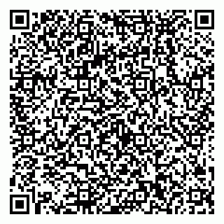 vCard 79538290752