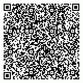 vCard 79538290801