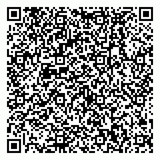 vCard 79538290802