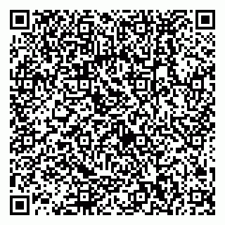 vCard 79538290872