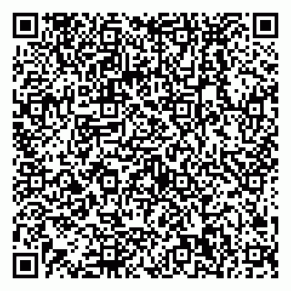 vCard 79538290874