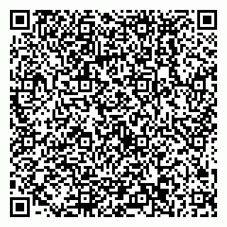 vCard 79538293217