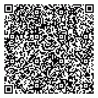 vCard 79538293283