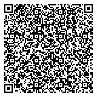 vCard 79538293296