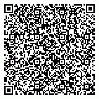 vCard 79538293297
