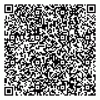 vCard 79538293369