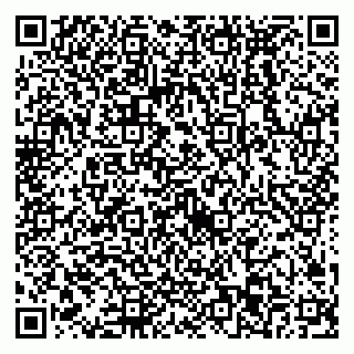 vCard 79538293401