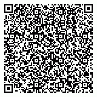 vCard 79538293410
