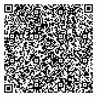 vCard 79538293425