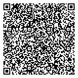 vCard 79538293474