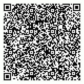 vCard 79538293481