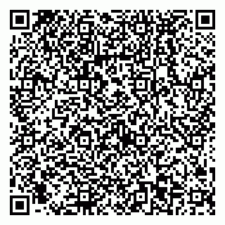 vCard 79538293529