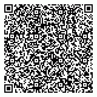 vCard 79538293537