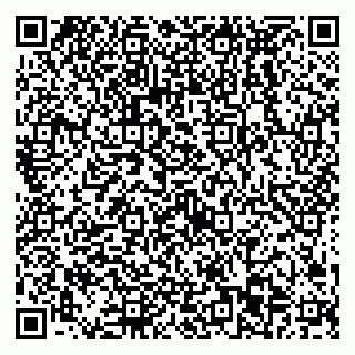 vCard 79538293589
