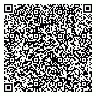vCard 79538293741