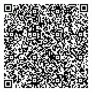 vCard 79538294783