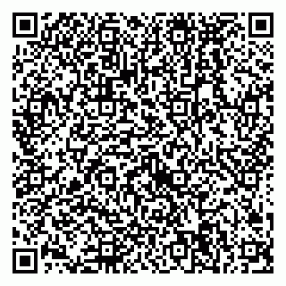 vCard 79538294825