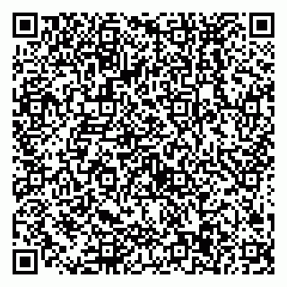 vCard 79538297174