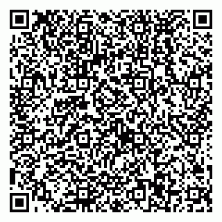 vCard 79538297279