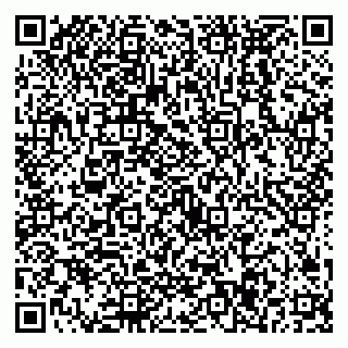 vCard 79538297283