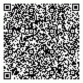 vCard 79538297333