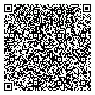 vCard 79538297387