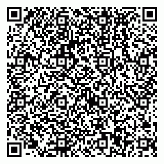 vCard 79538297398