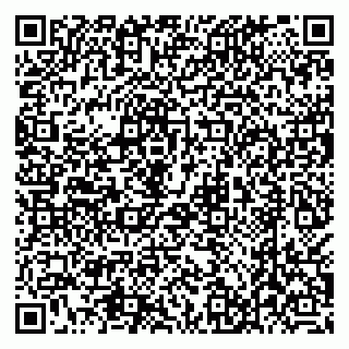 vCard 79538297408
