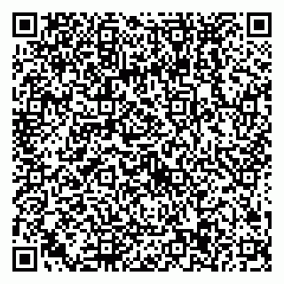 vCard 79538297674