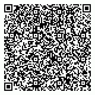 vCard 79538297713