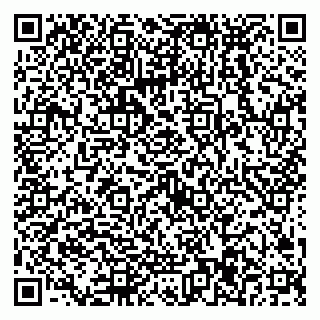 vCard 79538297731