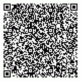 vCard 79538297739