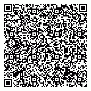 vCard 79539100002
