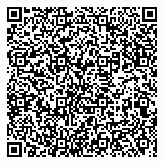 vCard 79539100017