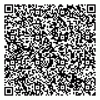 vCard 79539100202