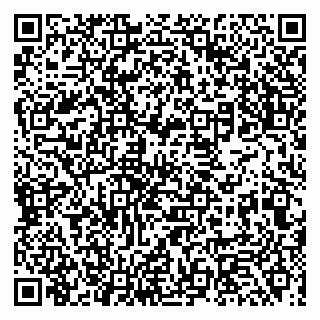 vCard 79539100311