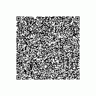 vCard 79539100328