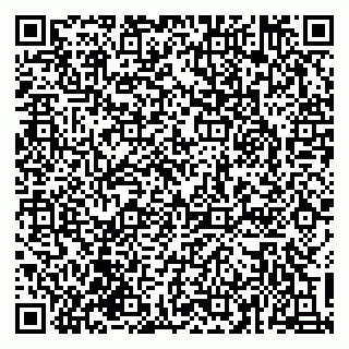 vCard 79539920173
