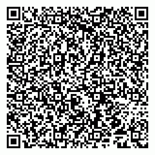 vCard 79539958047