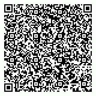 vCard 79539958080