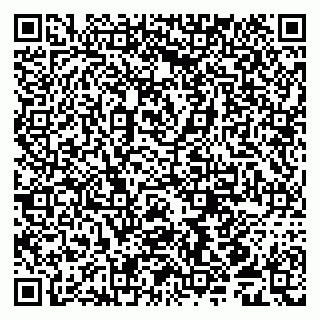 vCard 79539958089