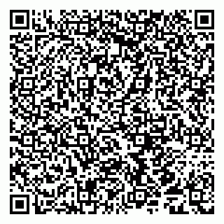 vCard 79539958104