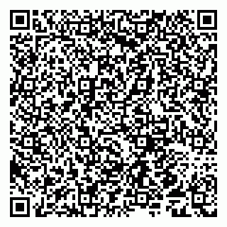 vCard 79539958125