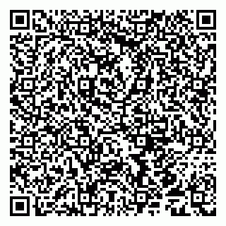 vCard 79539958381