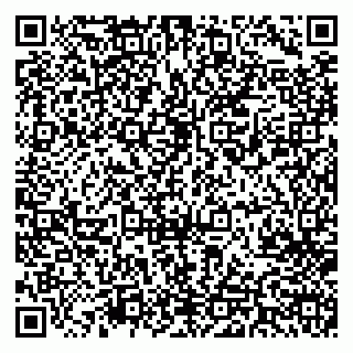 vCard 79540002001