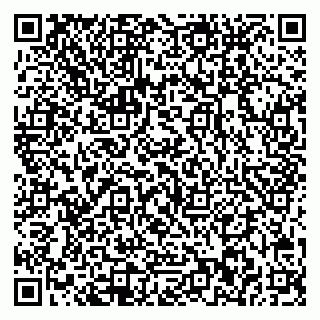 vCard 79540002010