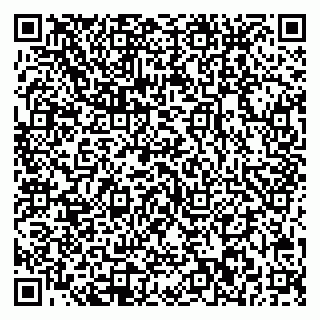 vCard 79540002013