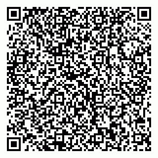 vCard 79541020004