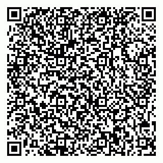 vCard 79541020005