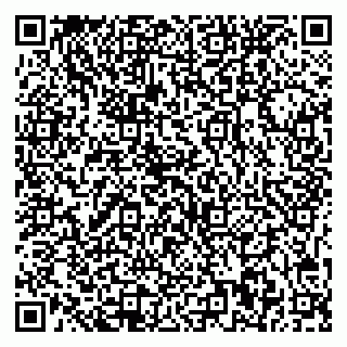 vCard 79541020008